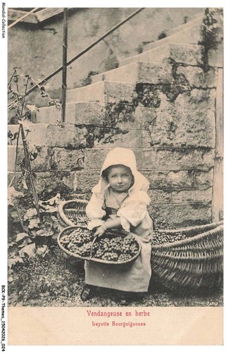 Bckp9 0547 culture - bckp9-0547-culture,