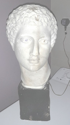 Buste homme plâtre - en,