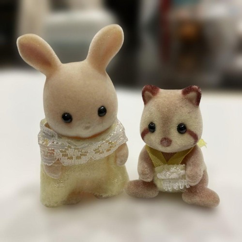 Raton laveur bébé lapin - , en