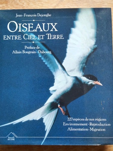 Oiseaux entre ciel - oiseaux, et