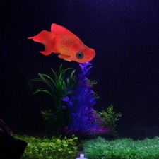 Poisson artificiel en silicone