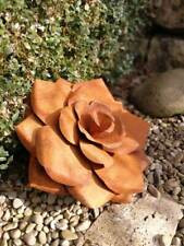 Grille noble rose plante