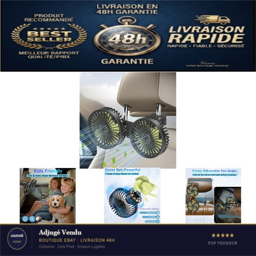 Ventilateur voiture double - de,