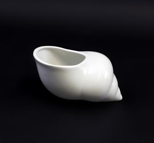 9942672 porcelaine coquille - porcelaine,