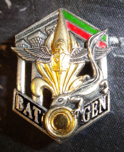 Insigne reg bat gen - insigne,