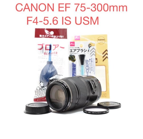 Objectif canon 300mm - objectif, 75-300mm