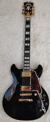 Angelico excel mini dc - mini,