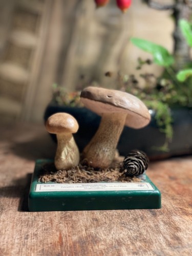 Vintage somso bitter bolete - somso,