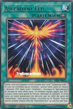 ♦Yu-Gi-Oh!♦ Ascendant Feu (Rising Fire - Salamangrande) : RIRA-FR053 -VF/Rare-