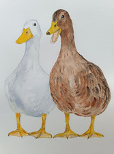 2 canards à l'aquarelle, A4