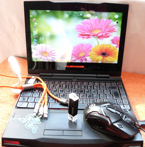Alienware m11x pouces - m11x,