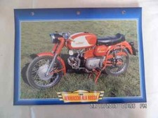 CARTE FICHE MOTO AERMACCHI ALA ROSSA 1965