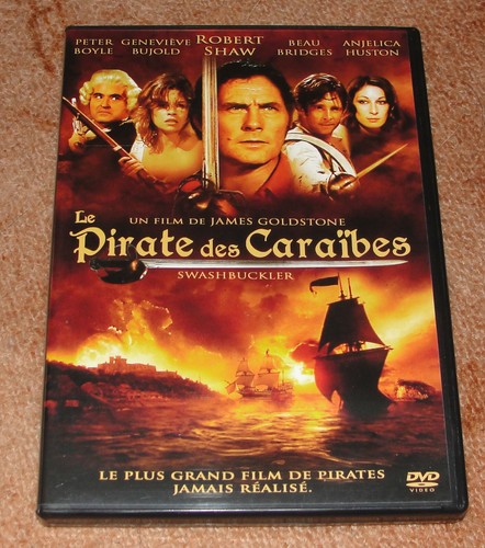 Pirate des caraïbes - le,