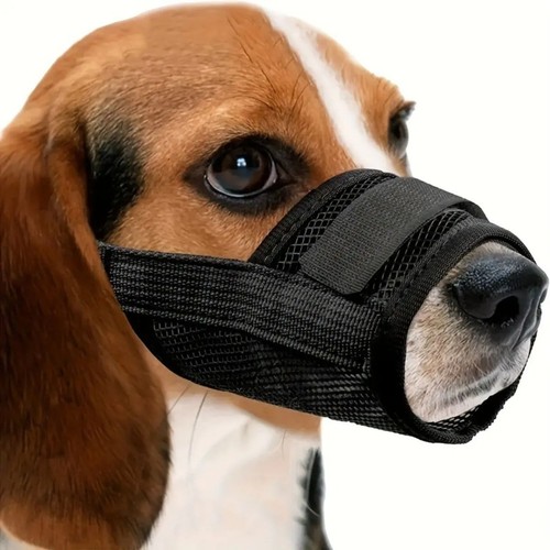Museau pour chien - ,