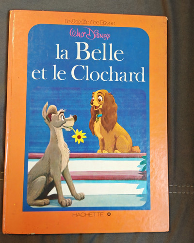 Grand album illustre belle - album, la