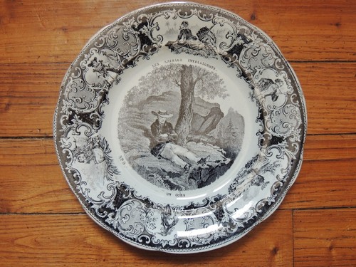 Assiette parlante les animaux - assiette,