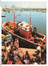 ATPP14-1127-44 - LA TURBALLE -