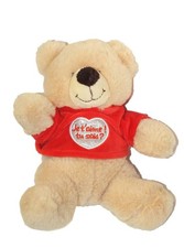 Peluche ours beige pull rouge Jemini Je t'aime tu sais coeur 25 cm