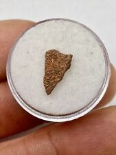 0,51'' / 1,3cm  Pyroraptor