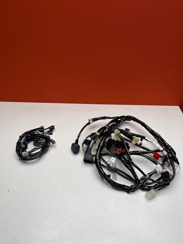 Faisceau électrique pour