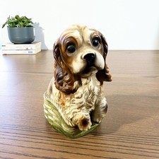 Tirelire ancienne chien cocker en céramique polychrome – circa 1950