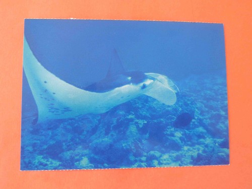 Carte postale polynesie - carte,
