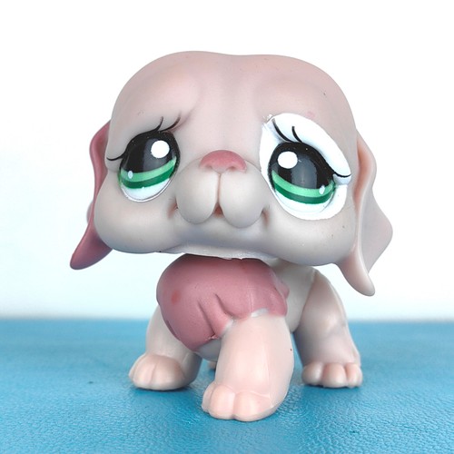 Authentic littlest pet - authentic,