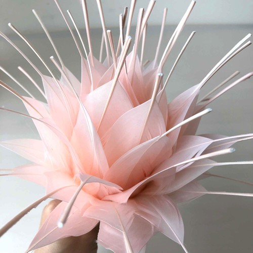 Fleurs plumes - fleurs,