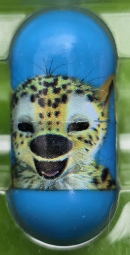 Marsupilami sur piste - marsupilami, /