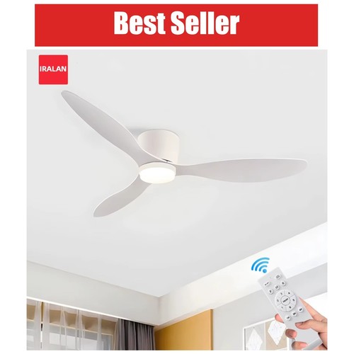 Ventilateur plafond avec - de,