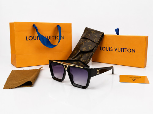 Louis vuitton evidence - louis,