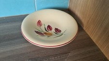 assiette faience longchamps tulipe