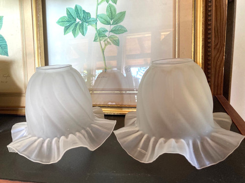 Tulipe verre dépoli blanc - en,