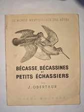 Bécasse, bécassines et