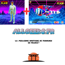 LOT DE  2 FIGURINES CAPTAIN