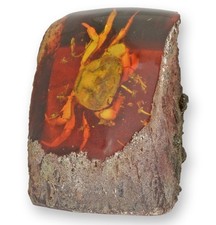 Un fossile artificiel d'ambre