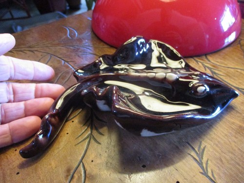 Superbe poisson raie manta - superbe,