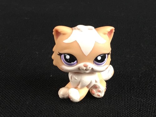 Chat persan littlest petshop - chat,