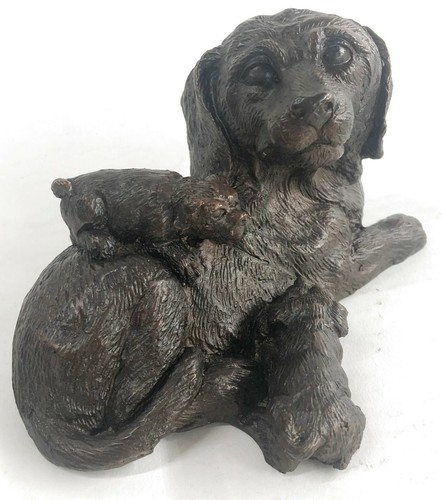 Labrador retriever avec - retriever, /