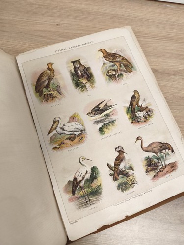 Lot images anciennes - d’images,