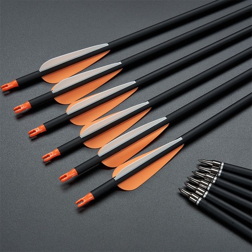 12pc flèches chasse - chasse, 30"