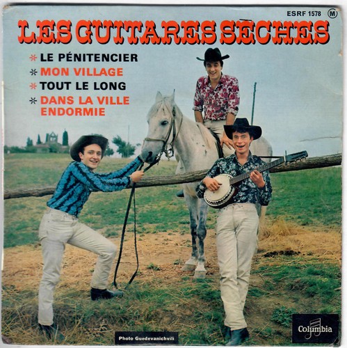 Les guitares sèches - guitares, le