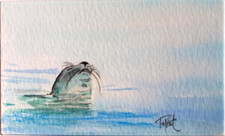 Tableau, peinture, phoque