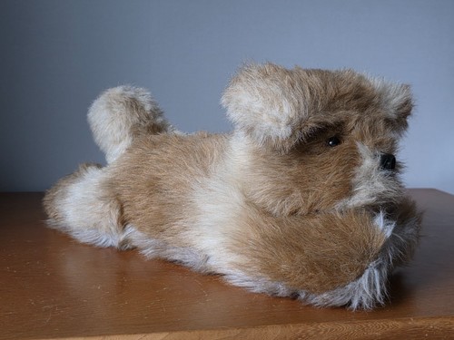 Adorable chien schnauzer - adorable,