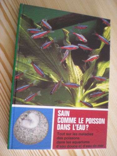 Sain comme poisson dans - comme,
