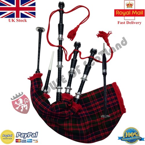 Scottish great highland - great,