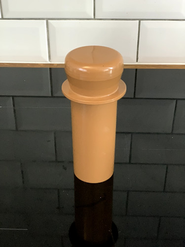 The champion juicer - the,