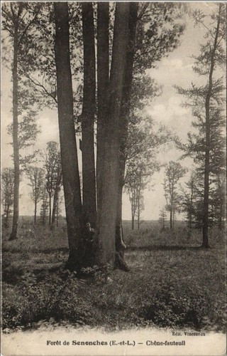 Cpa senonches foret - foret, de