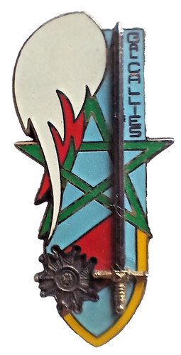 Insigne promo saint cyr 009 - saint,