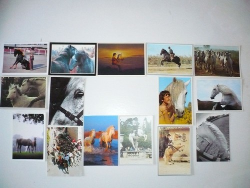 Lot cartes postales - ,